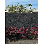 Apartament Mesmerising In *