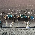 Mesmerising In * Playa Blanca (Lanzarote)