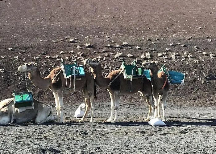 Mesmerising In * Playa Blanca (Lanzarote)